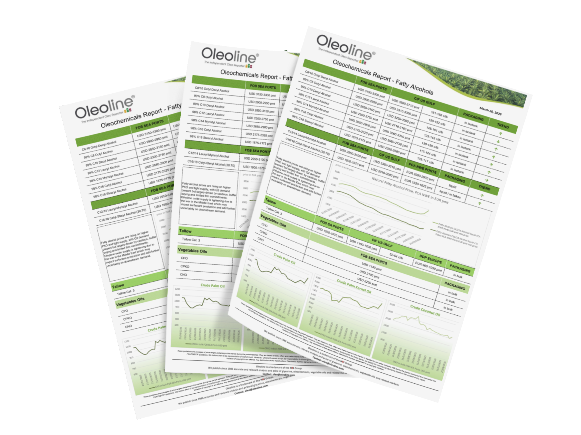 Trois feuilles de papier portant la marque « Oléoline » présentant des données de rapport de marché, des tableaux et des graphiques linéaires verts sur fond blanc.
