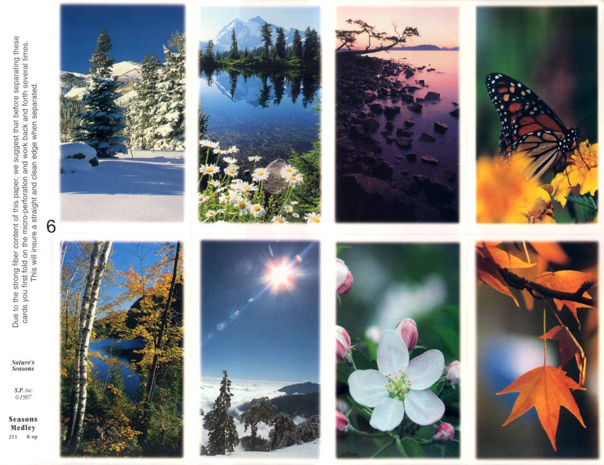 Eight nature scenes: snowy forest, mountain reflected in lake, sunset at the beach, monarch butterfly on flowers, lake and fall leaves, sun over snow-covered mountains, flower close-up, red maple leaf.