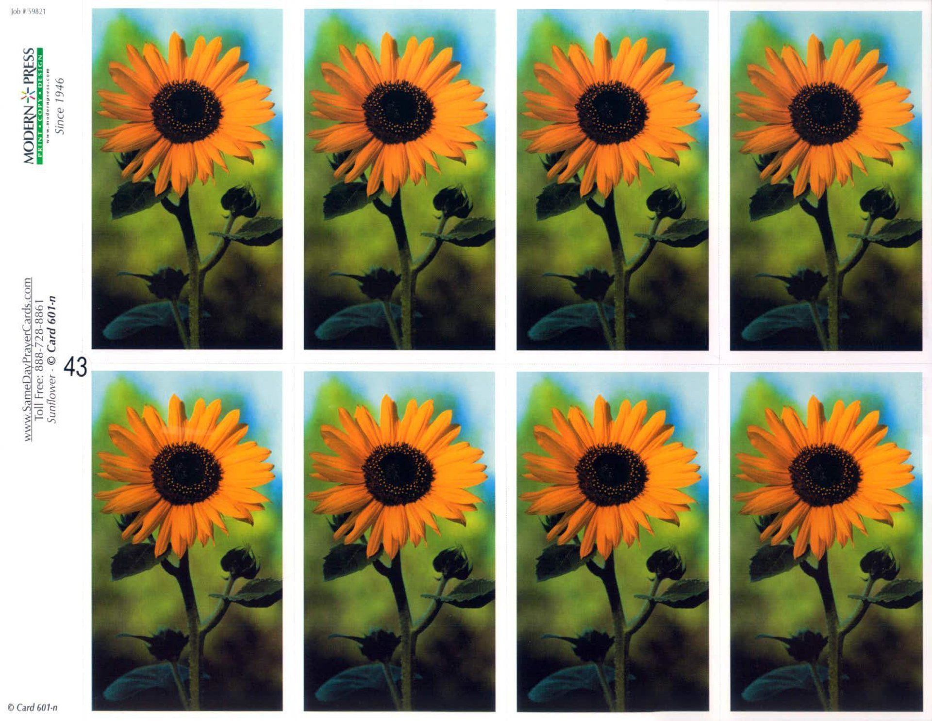 Sheet of eight postage stamps featuring a vibrant yellow sunflower against a green and blue background.