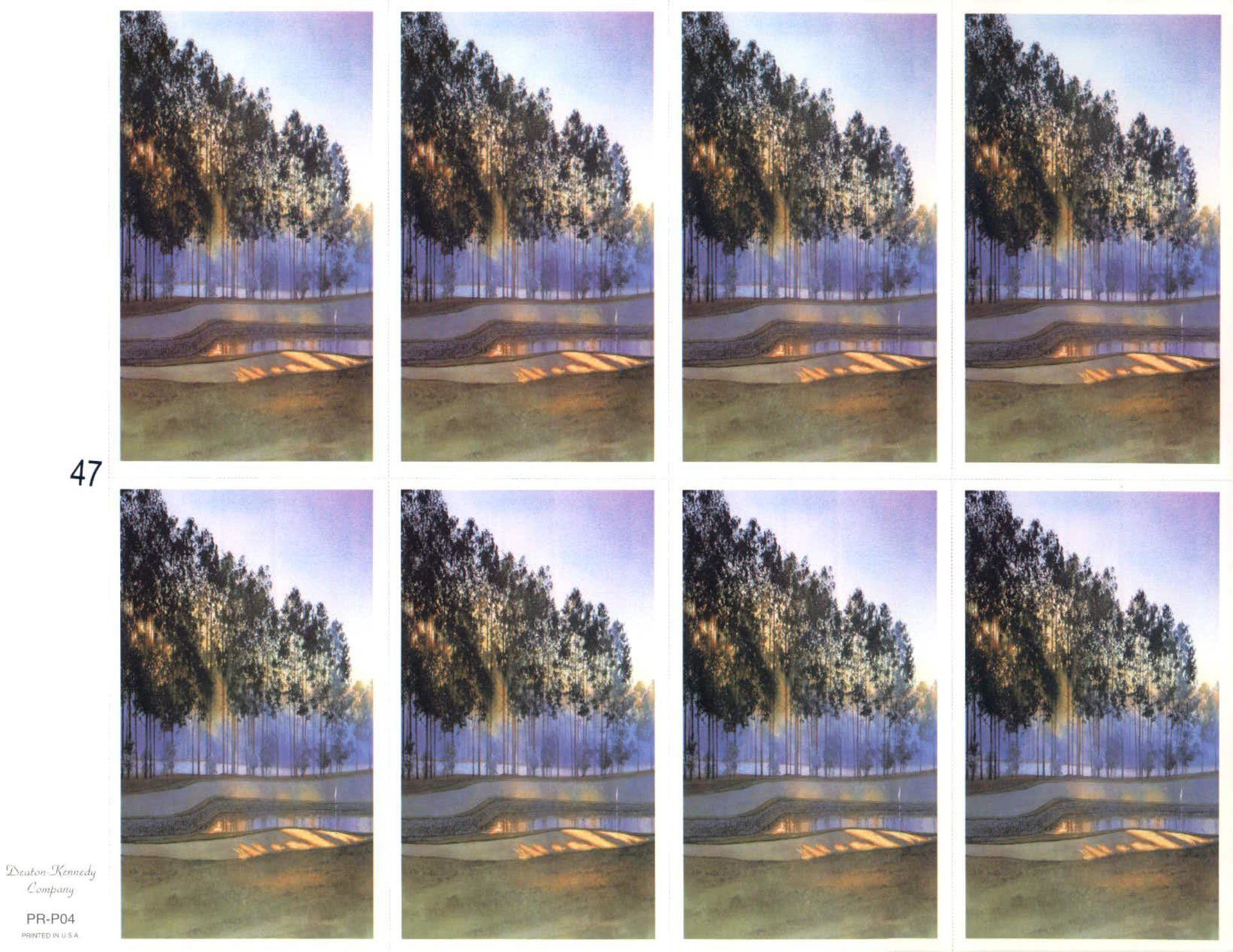 Row of trees along a sunlit path, likely a print in varying shades of green, brown, and purple.