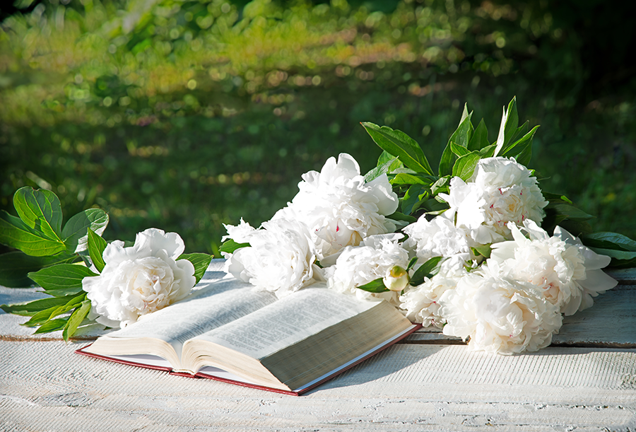Open book with white peonies on a white wooden surface, blurred green background.