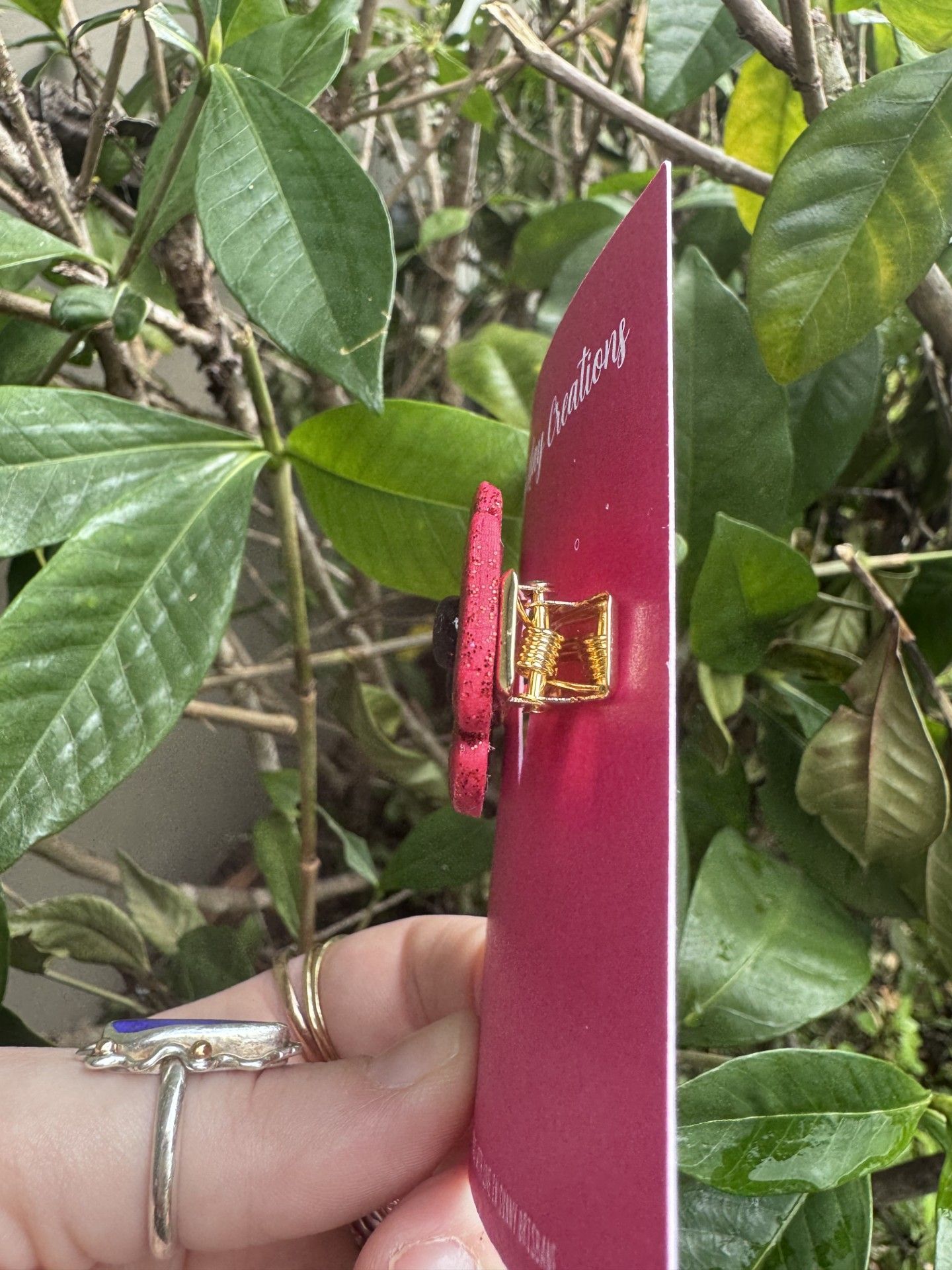 The Scarlet Poppy Clip