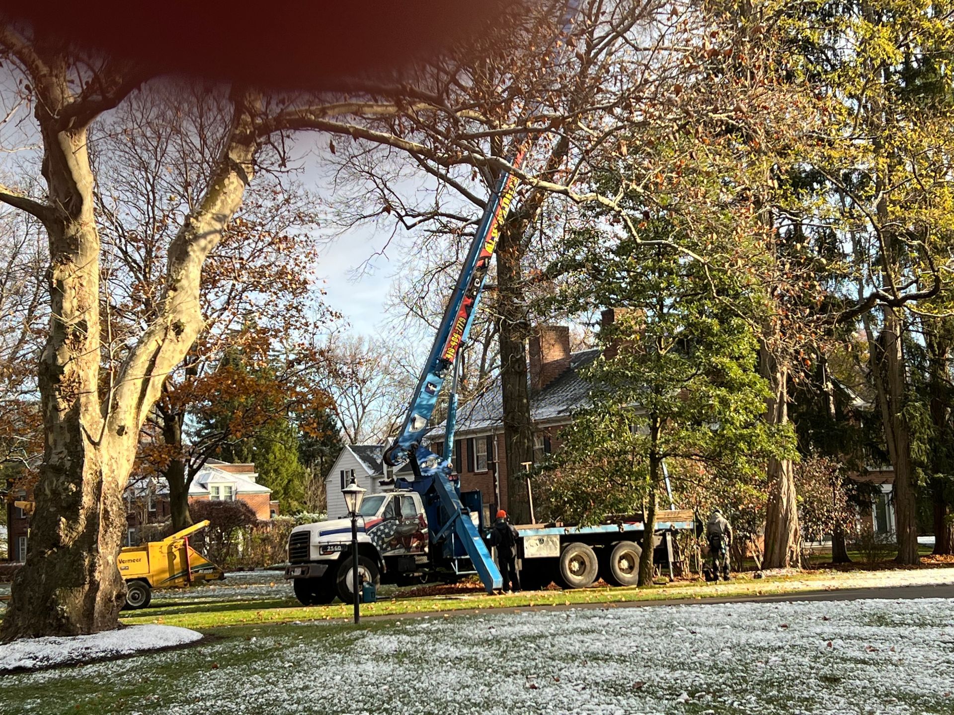 Hazardous Tree Removal | Toledo, OH | All Seasons Tree Care