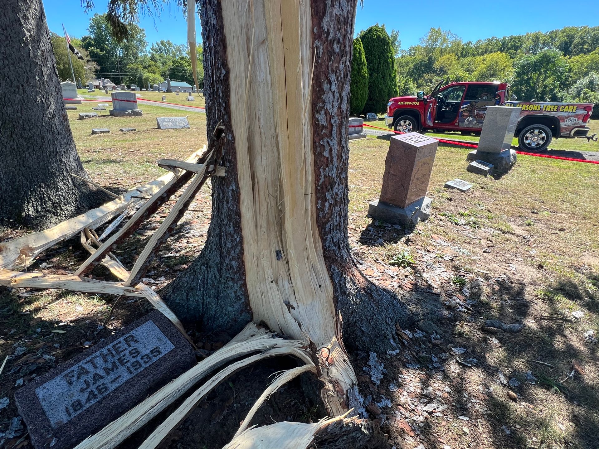 Standing Tree Strucked By Lightning | Toledo, OH | All Seasons Tree Care