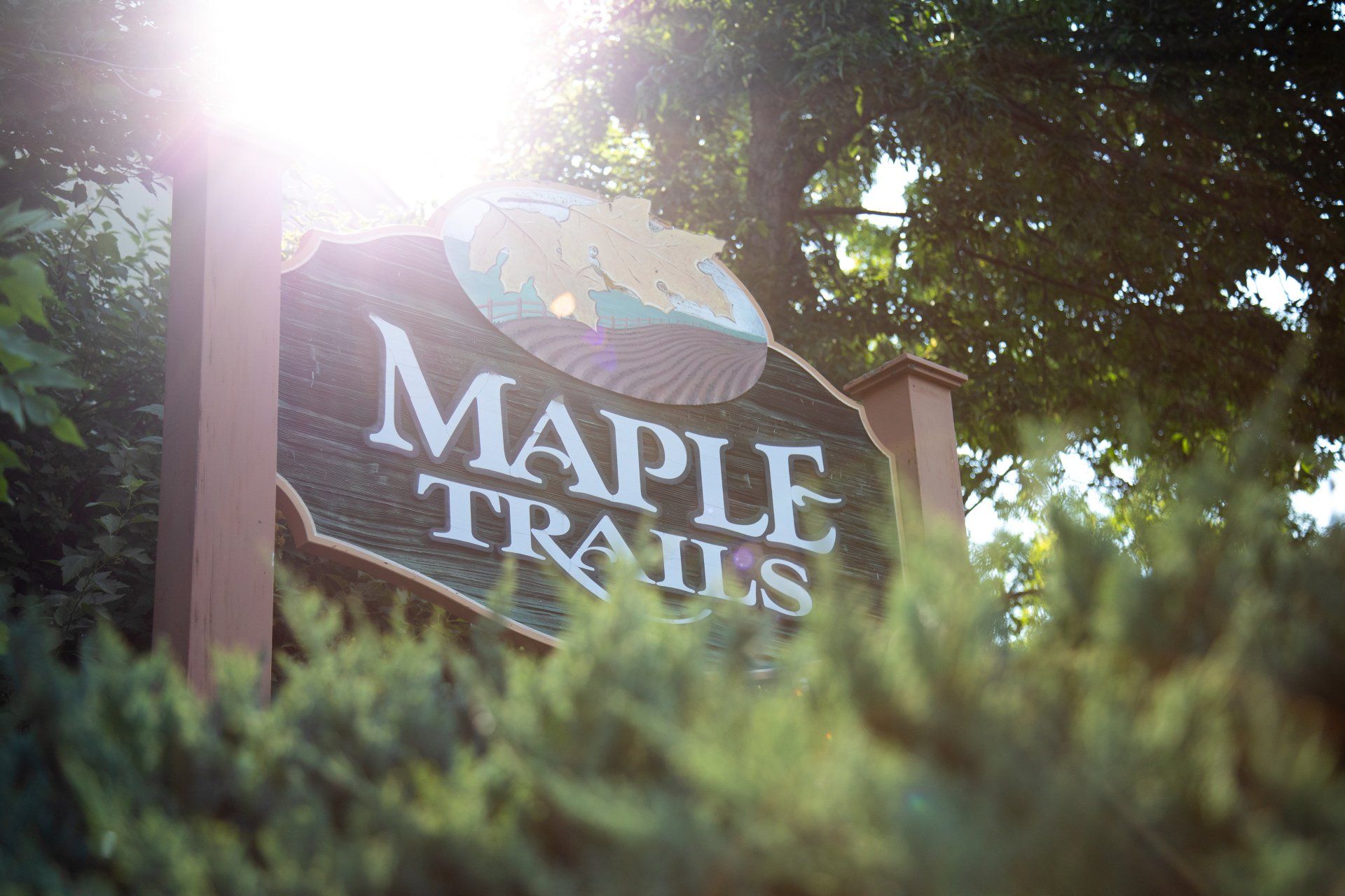 maple trails