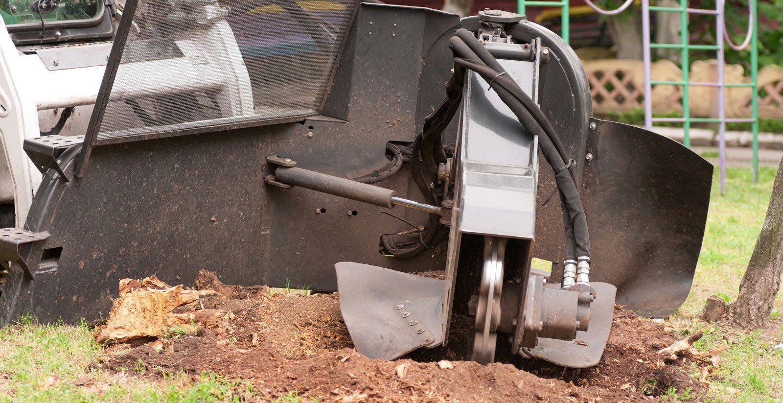 Tree removal blade Markdale.