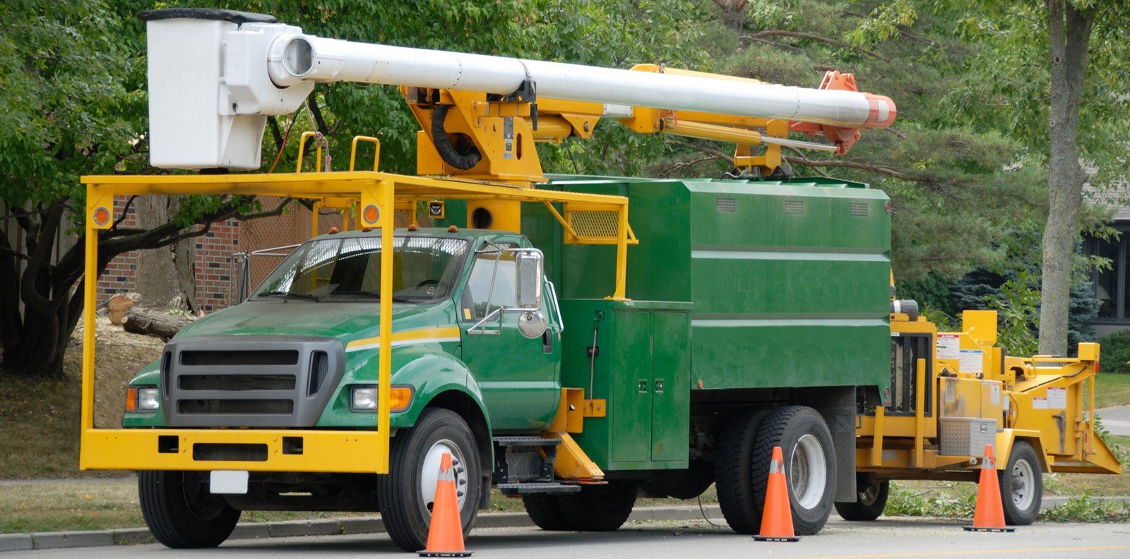 Tree service truck, Markdale.