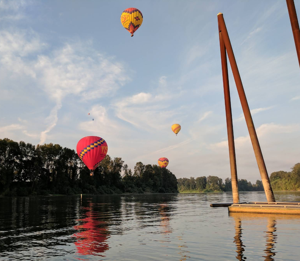 A river runs through a park surrounded by trees on a sunny day.