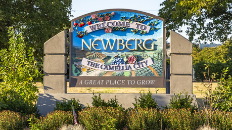 A stone wall with a tree on it