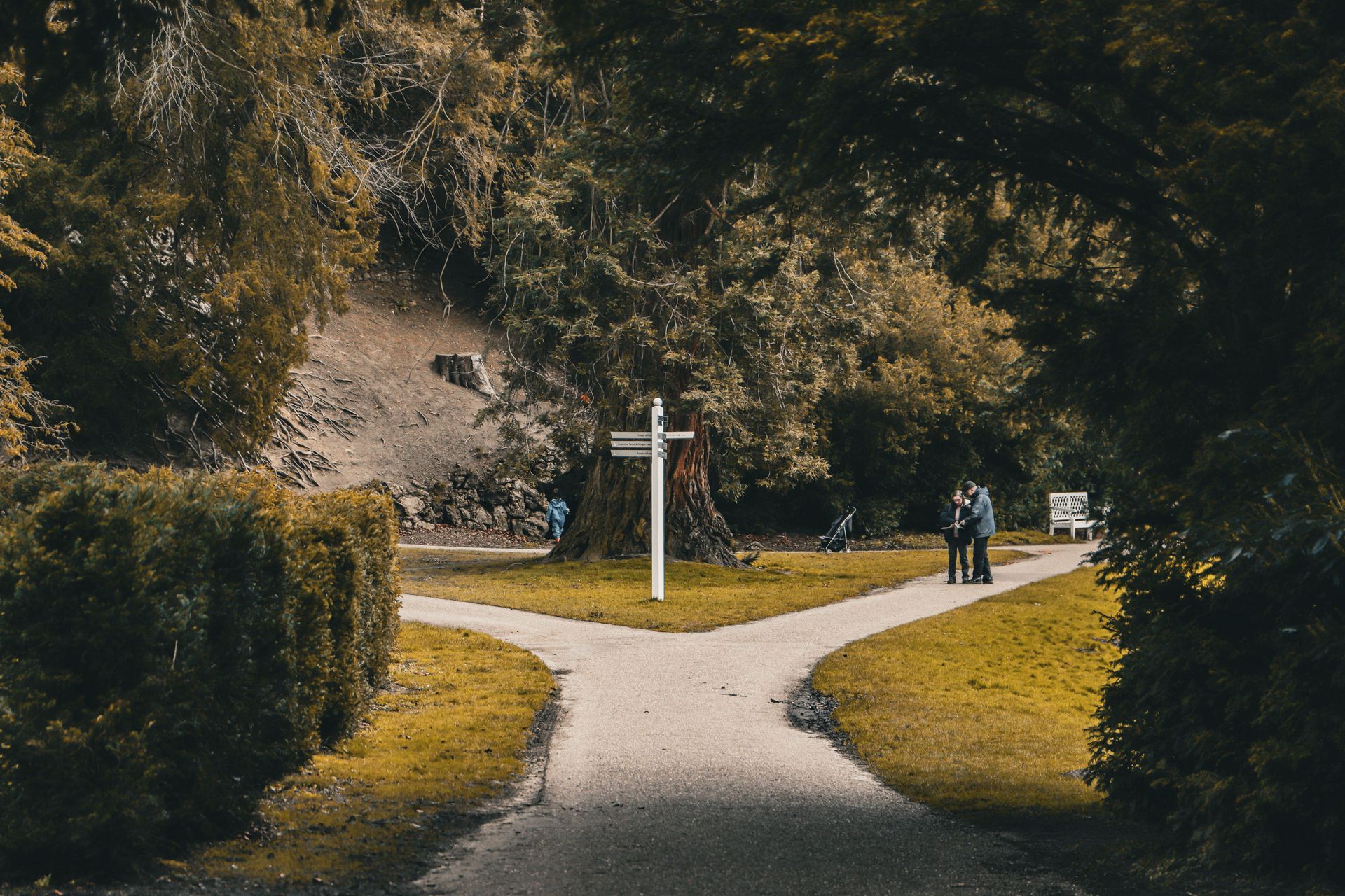 Pathway