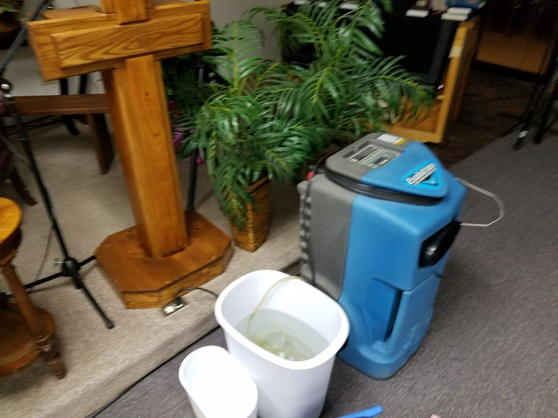 A blue and gray water extraction machine next to a white bucket, indoors by a wooden podium and plants.