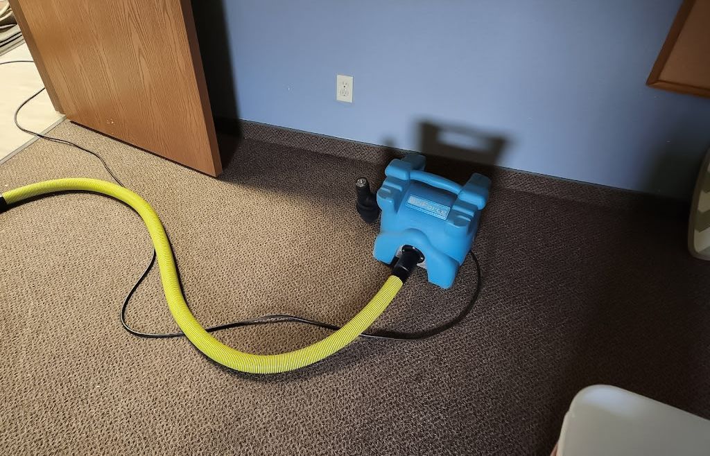 Blue carpet cleaner with yellow hose on brown carpet near a wall.