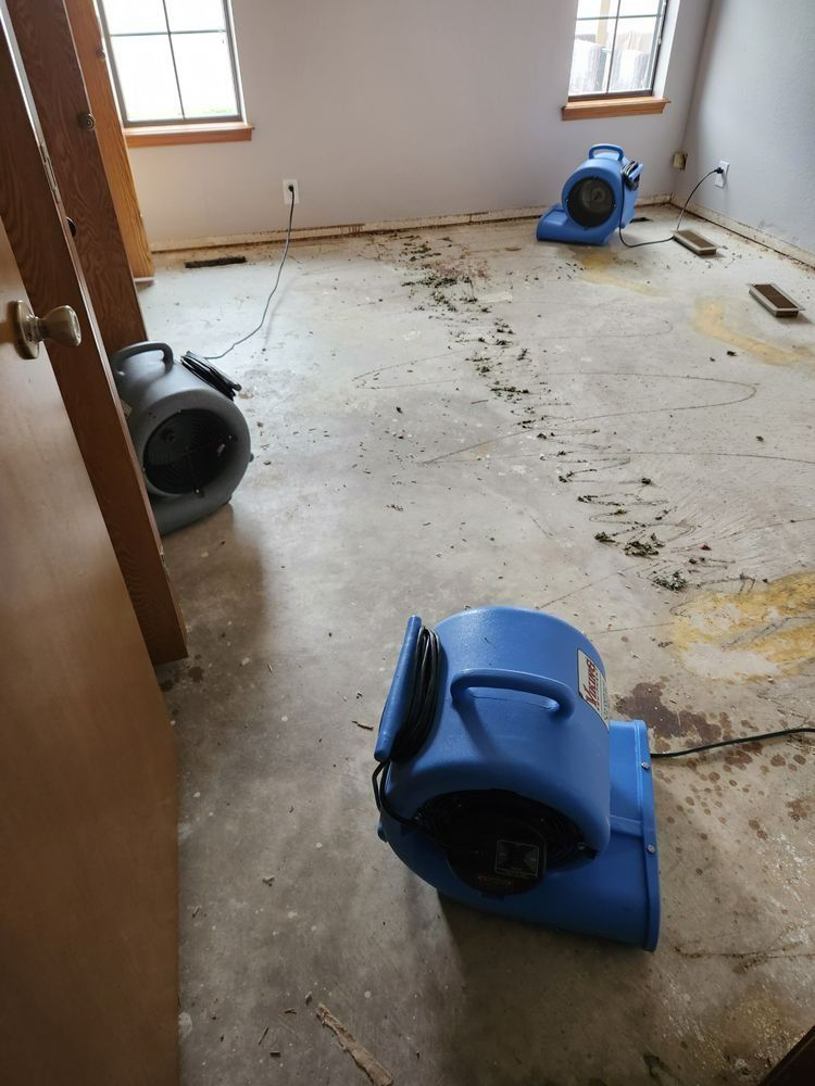Three blue fans drying a room with exposed concrete floor.
