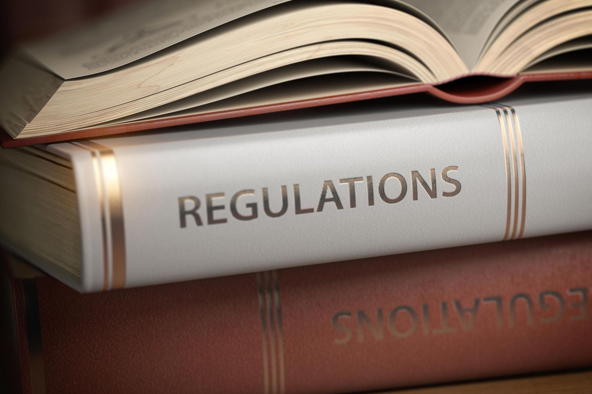 Regulations Book — Placida, FL — Accounting 4 Profitability LLC