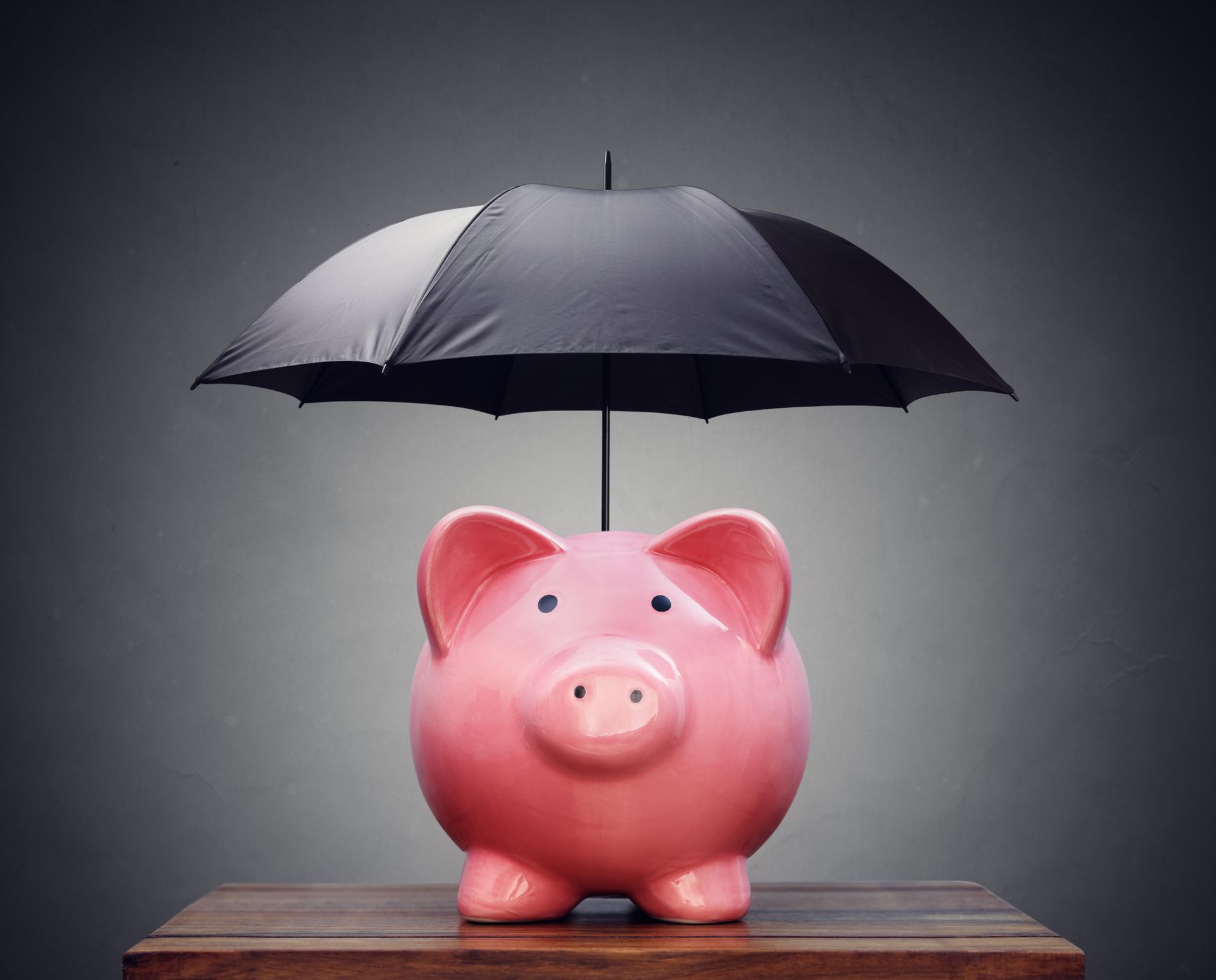 Protection Piggy Bank With Umbrella — Placida, FL — Accounting 4 Profitability LLC