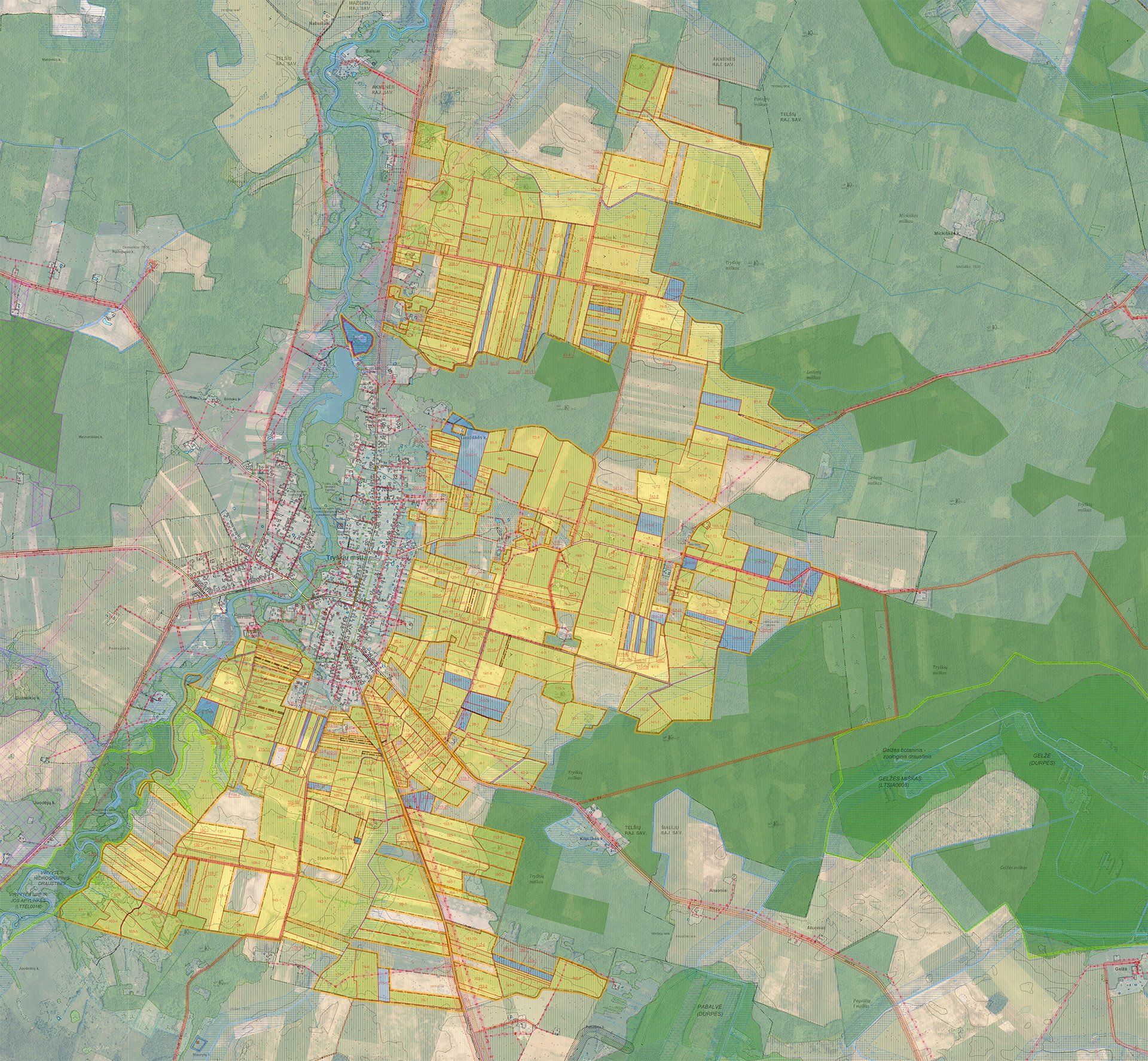 Tryškių sprendinių planas
