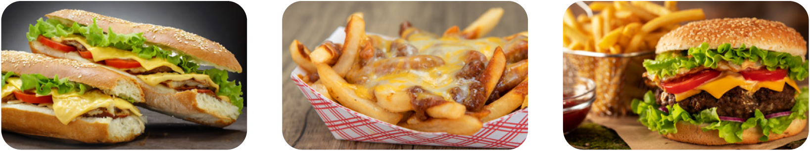 speed oven foods fit express