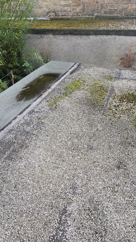 Flat Roofs 7