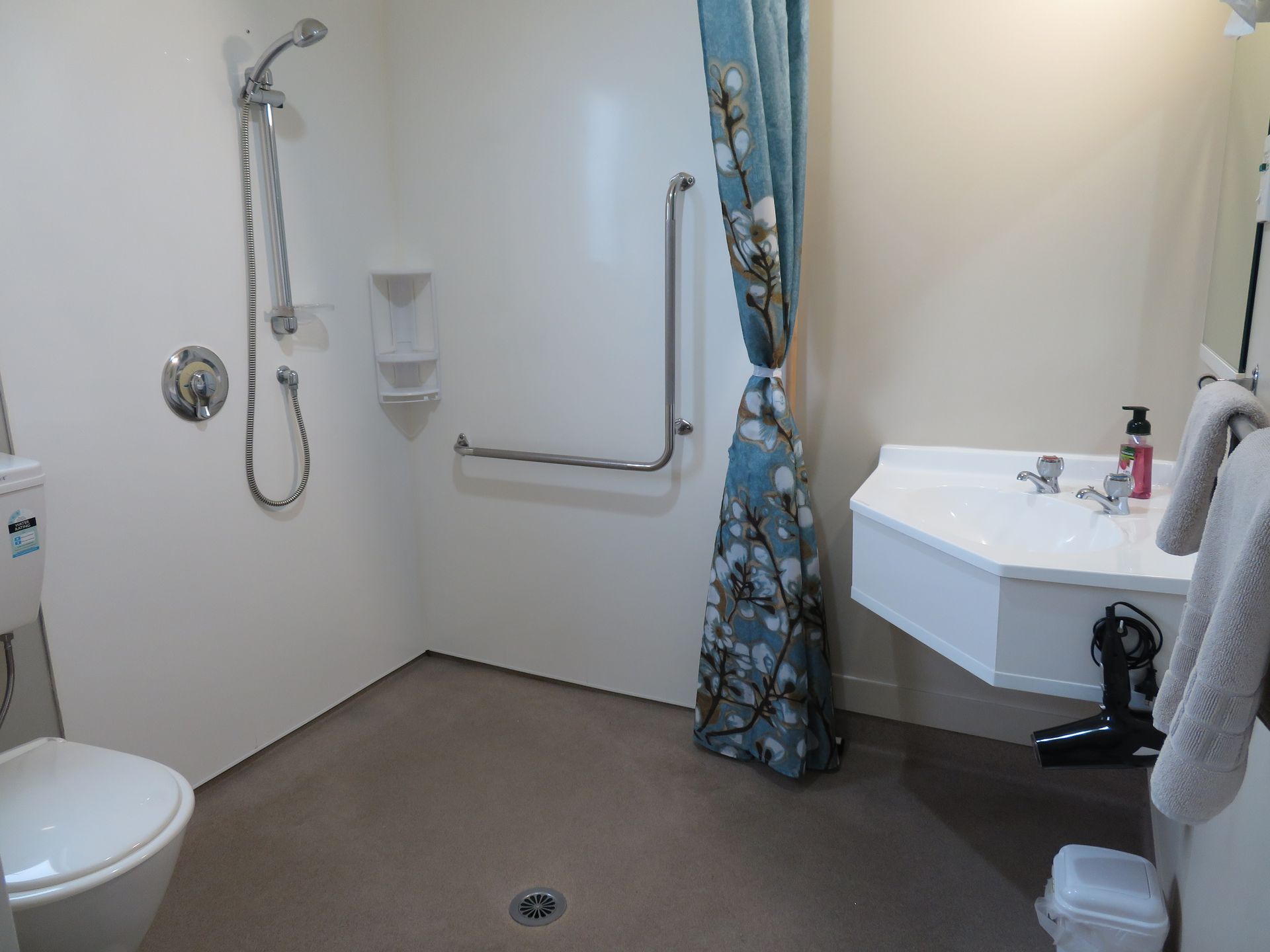 Accessible bathroom featuring a roll-in shower area with safety grab bars, a handheld showerhead, and a wall-mounted sink.