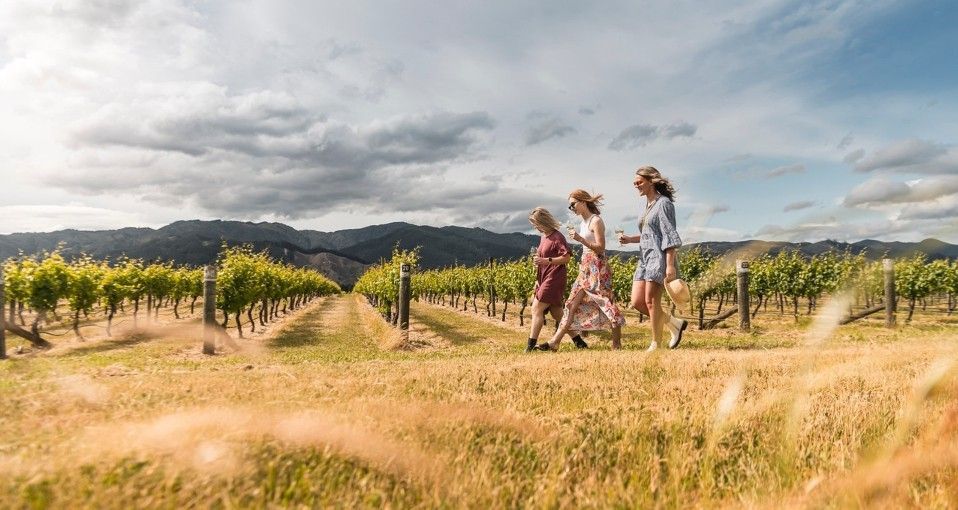 Three people walk through a sunny, golden-hued vineyard with mountains in the distance.