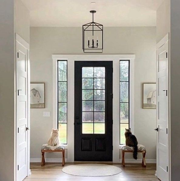 An entryway with a black door, sidelights, and two cats seated on patterned benches.