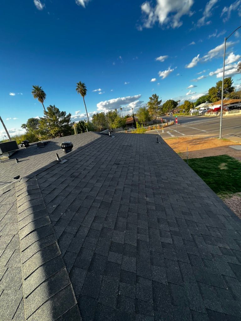 Dark gray asphalt shingle roof, with a clear sky and palm trees in the background.