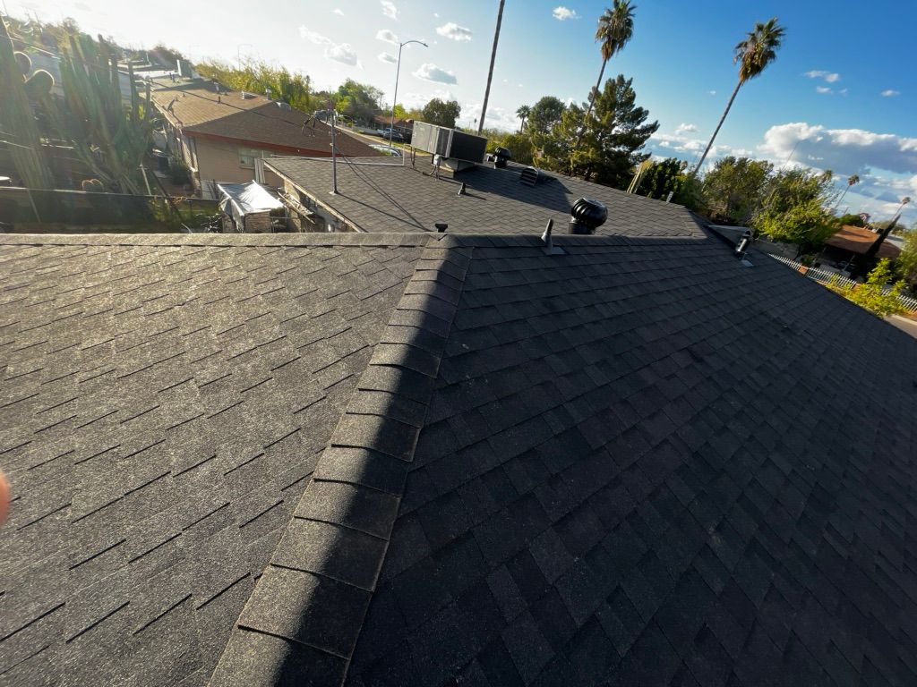 Black asphalt shingle roof on a sunny day. Palm trees and other houses visible in the background.