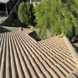 Overhead view of a terracotta tile roof with greenery and a partial view of a backyard.