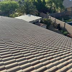 Brown tile roof with a neighboring building and trees in the background.