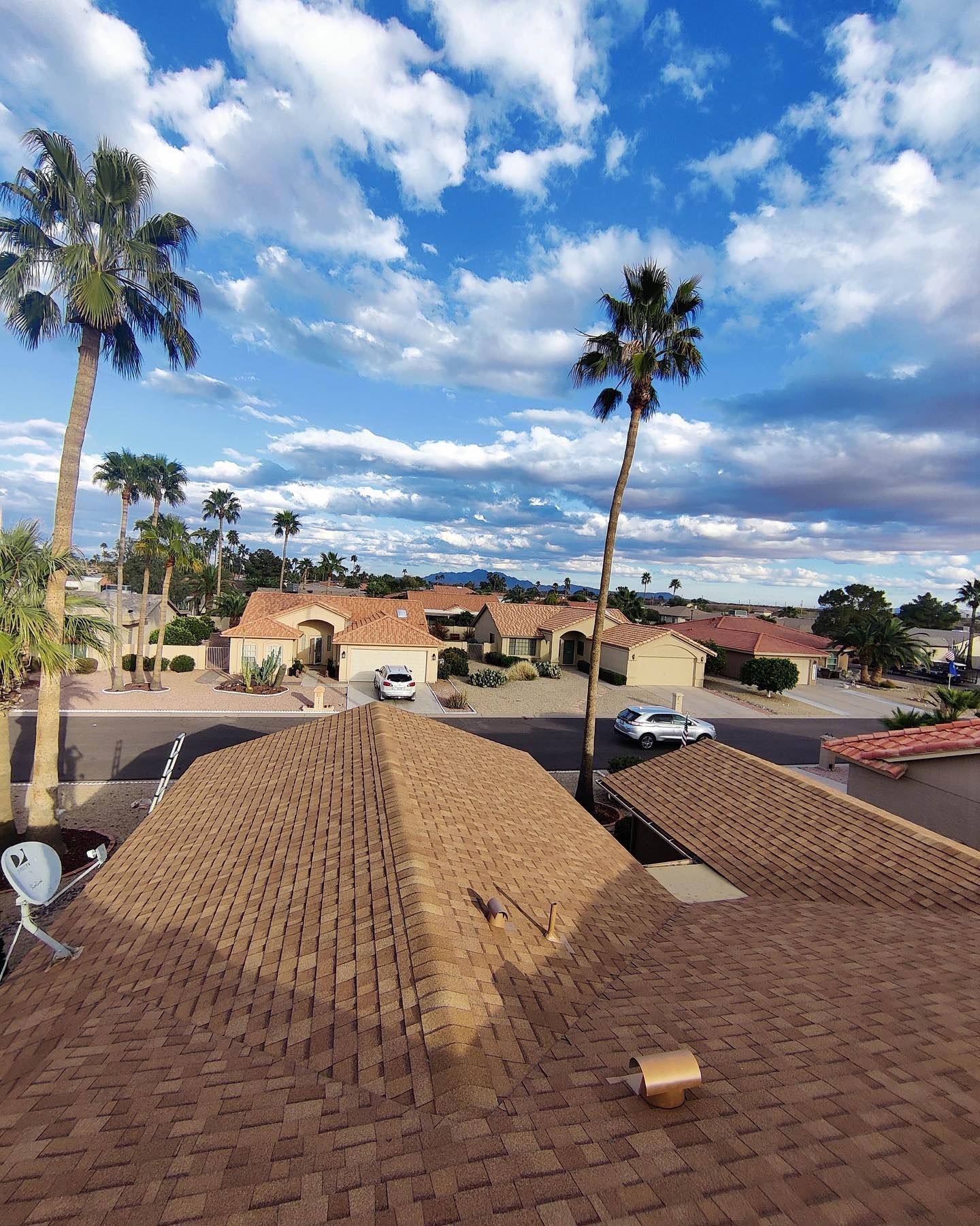 Brown tiled roofs, palm trees, houses, and a blue sky with clouds.