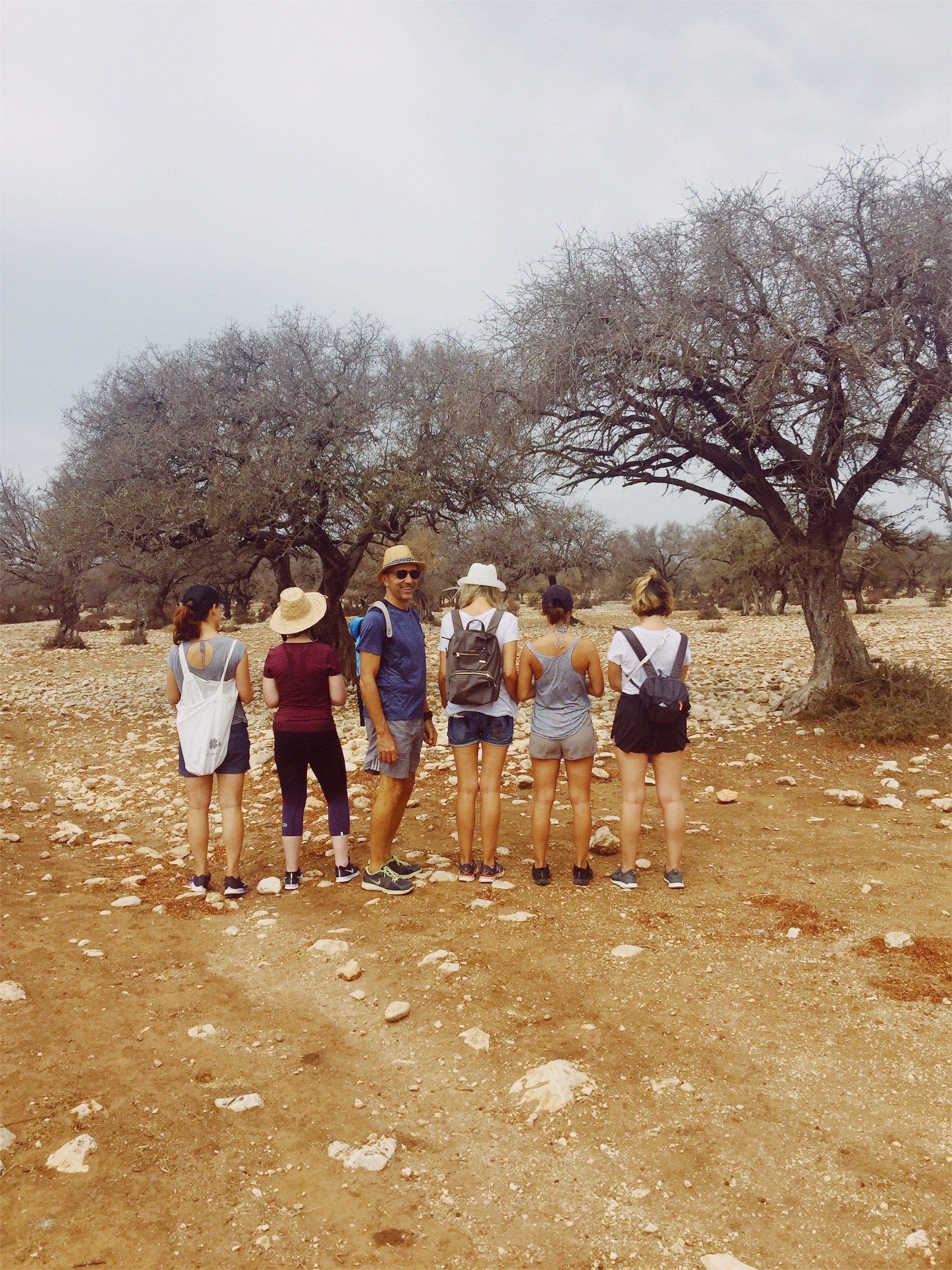 Un groupe de personnes se tient debout dans un champ et regarde un arbre.