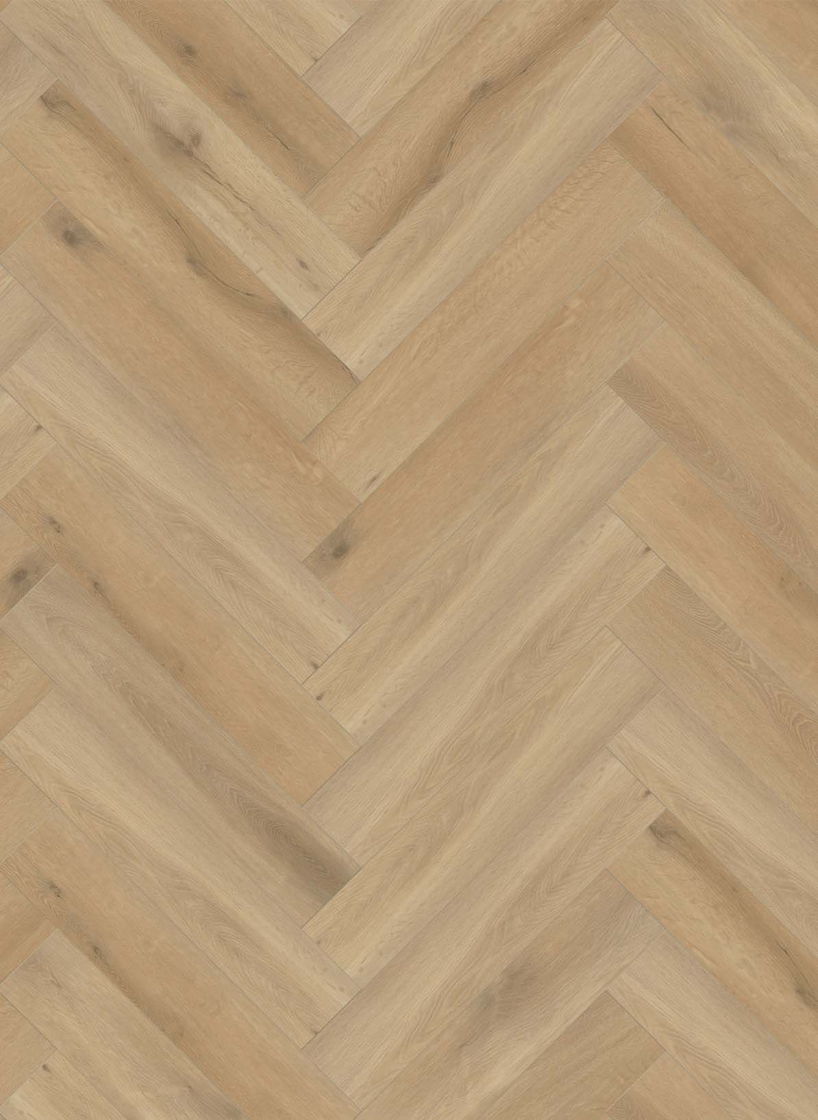 Callisto+Visgraat+4201