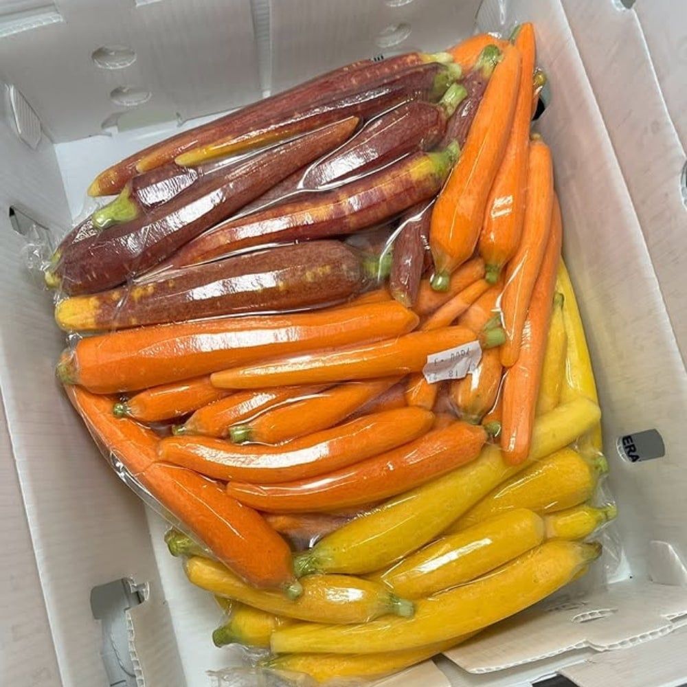 A box filled with carrots of different colors and sizes