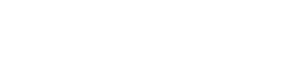 Boise white logo