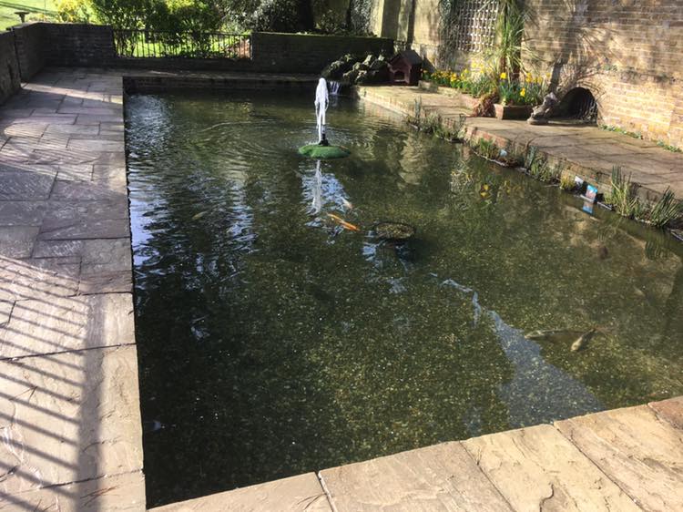 Pond maintenance Essex,Pond cleaning and under gravel filter install at st francis hospice click on photo take you to the video