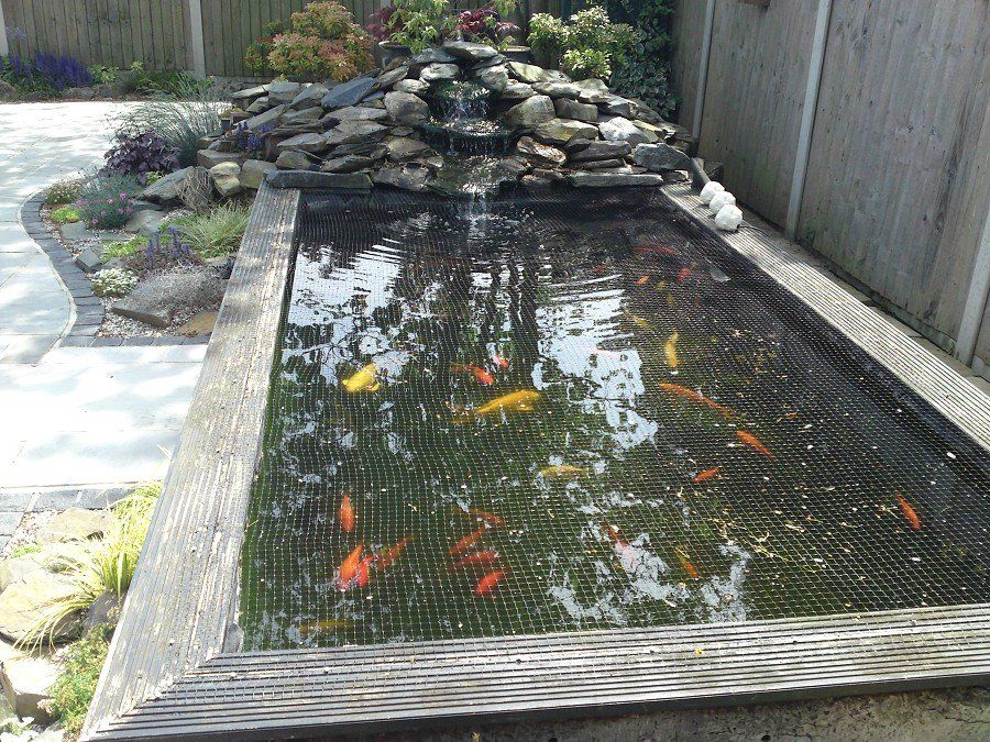 pond cleaning 5
