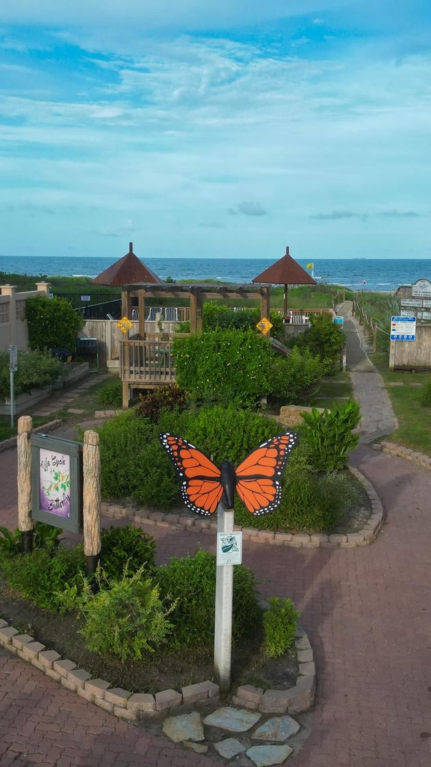 There is a butterfly on a pole in the middle of a park.