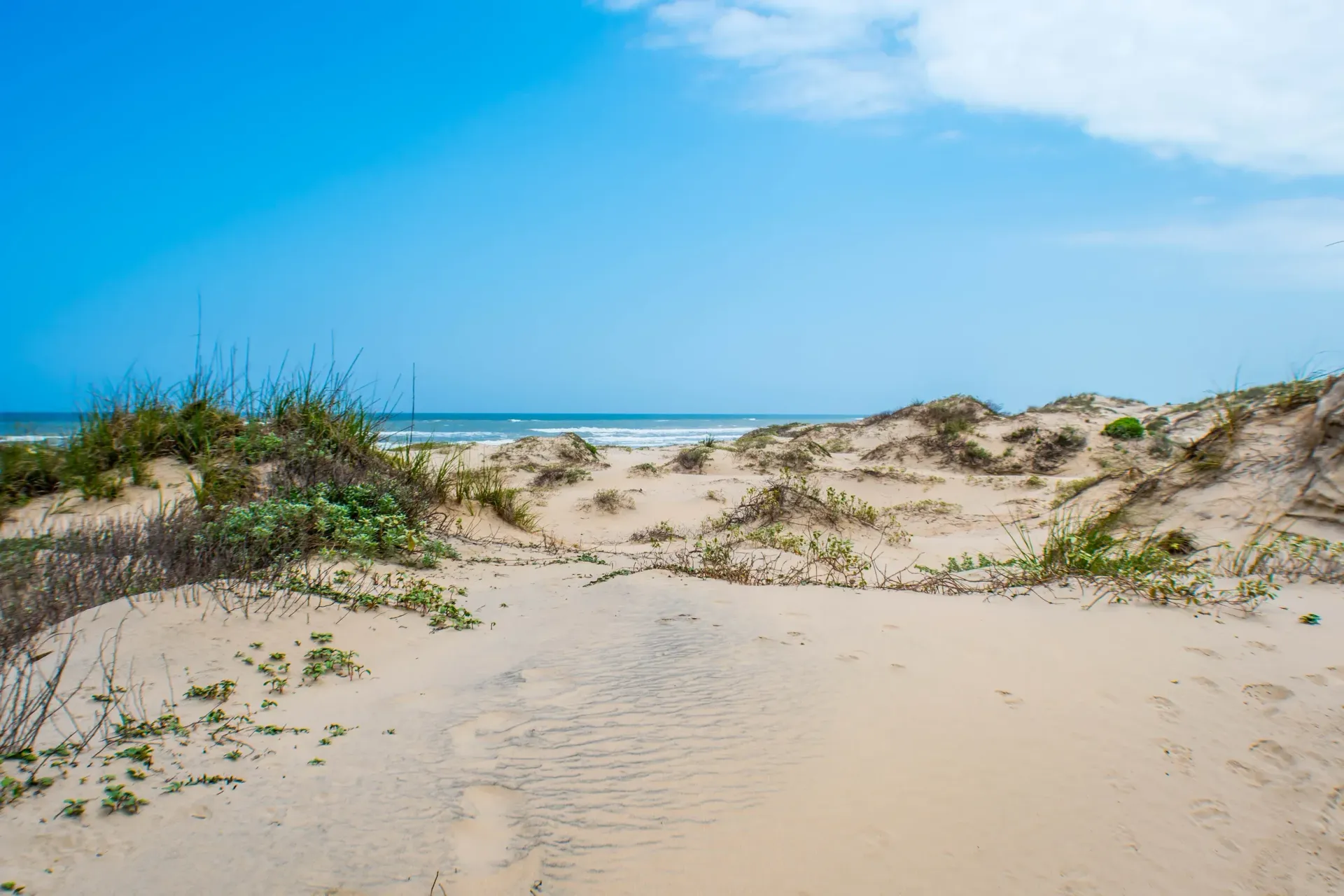 A sand dune leading to the ocean on a sunny day.