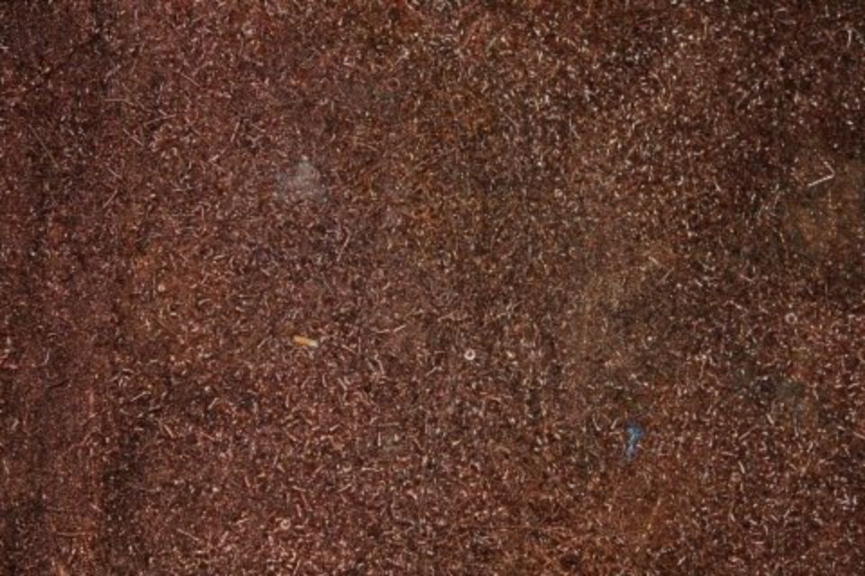 selezione e compravendita metalli