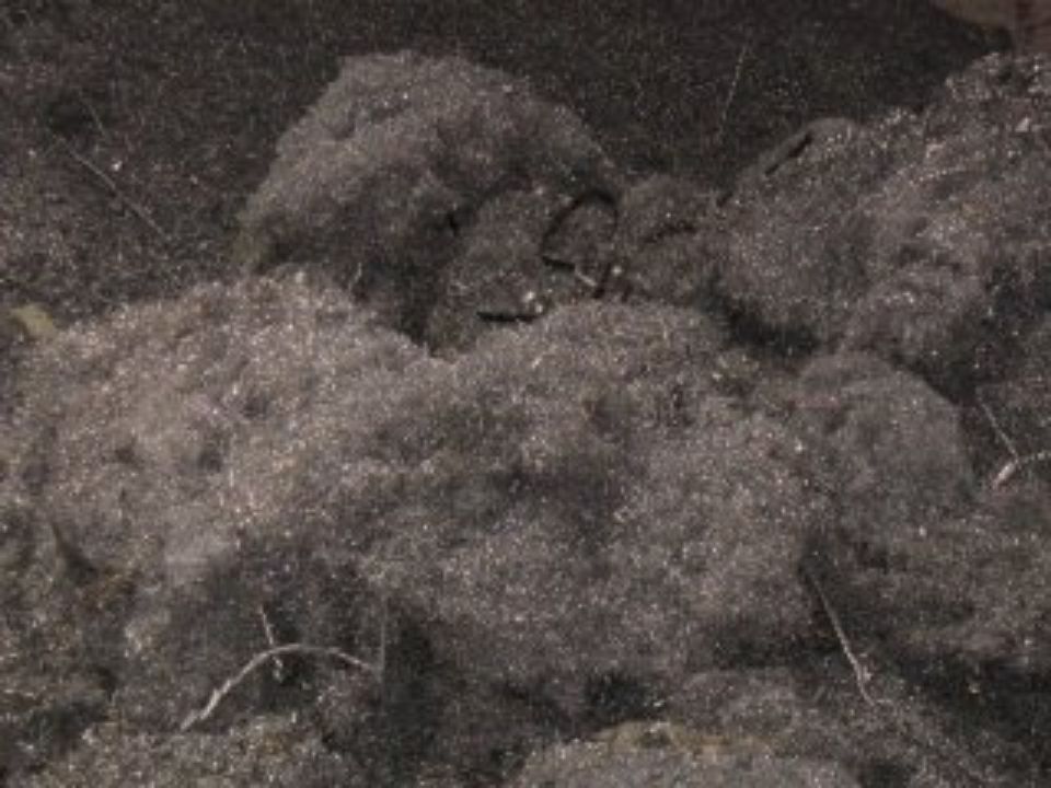 servizi di compravendita rottami