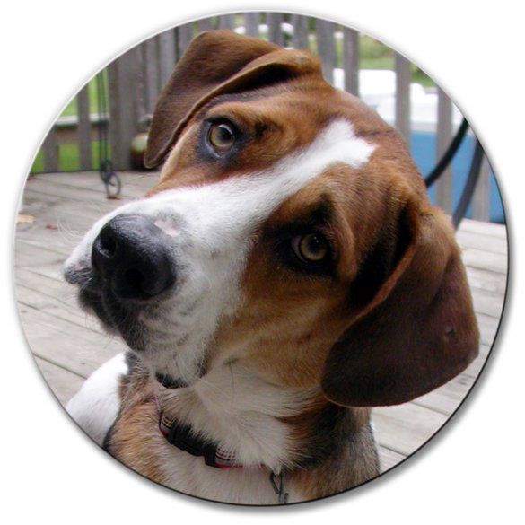 IMPRESSION SUR MÉTAL CRÉATIVE image