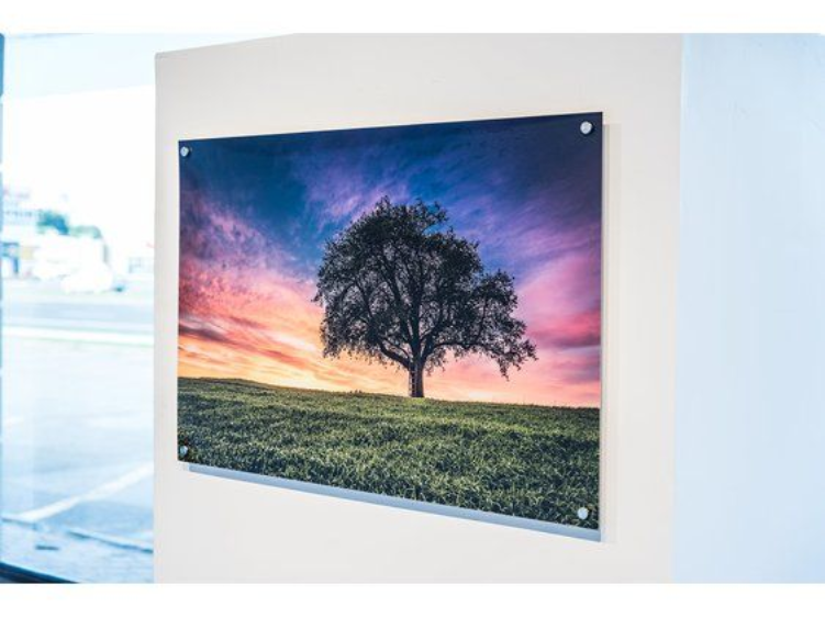 Acrylic print of a lone tree on a grassy hill with a colorful sunset sky. Mounted on a white wall.