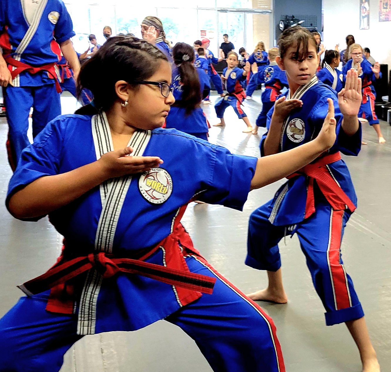 kids martial arts