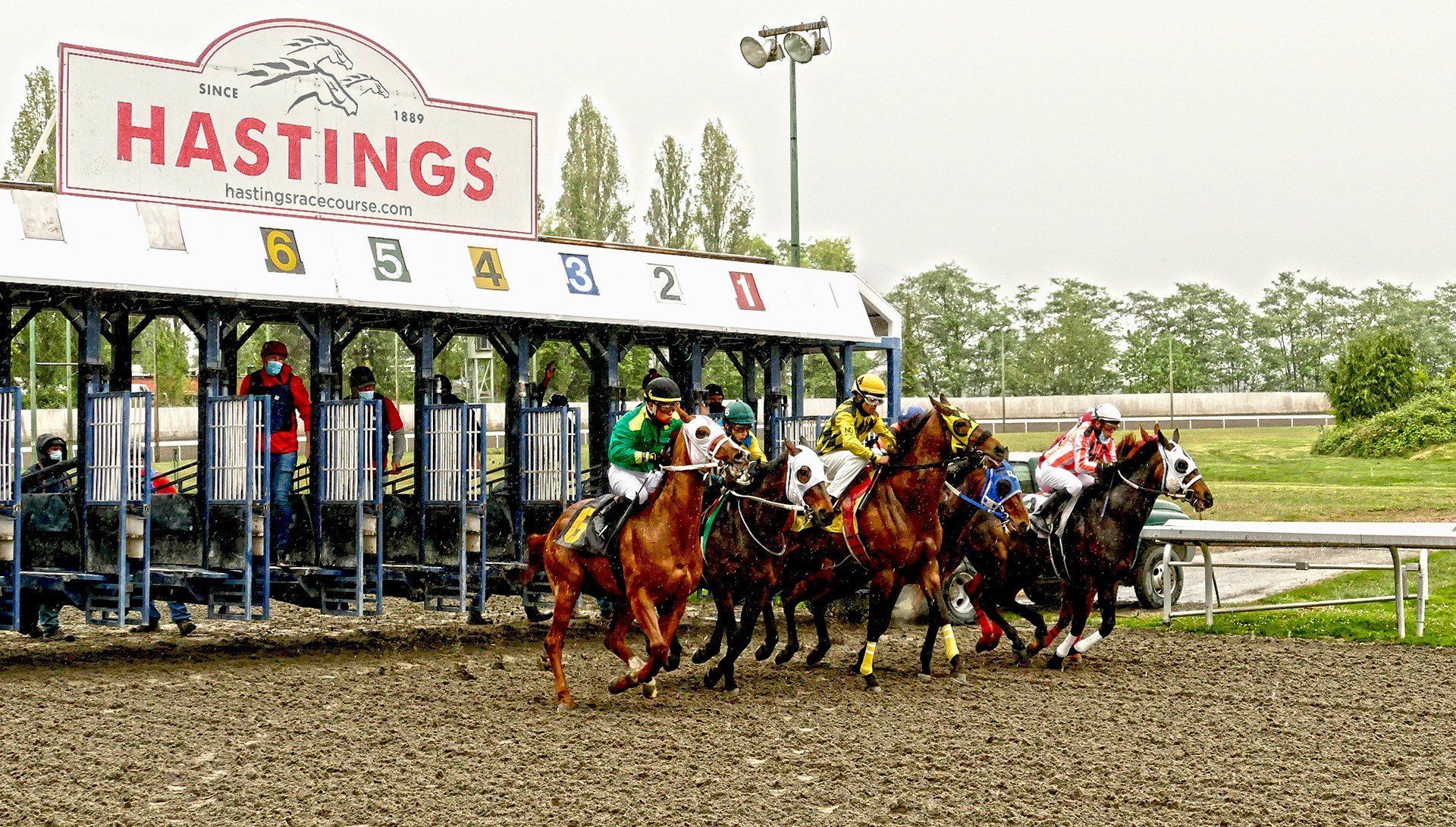 BIG DAYS AHEAD AT HASTINGS - THE CUP, BC CUP and BC DERBY — BC