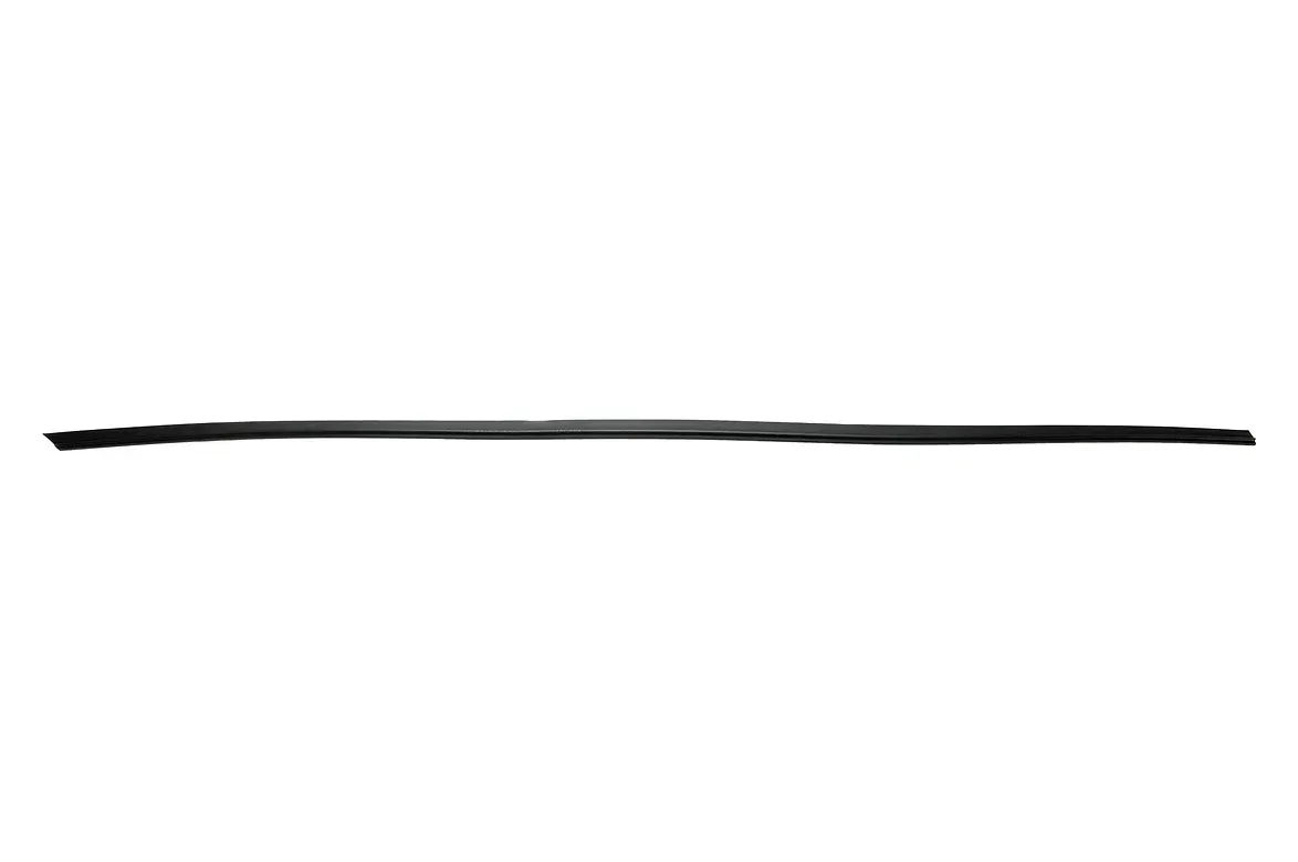 Black, long, thin rubber strip on a white background.