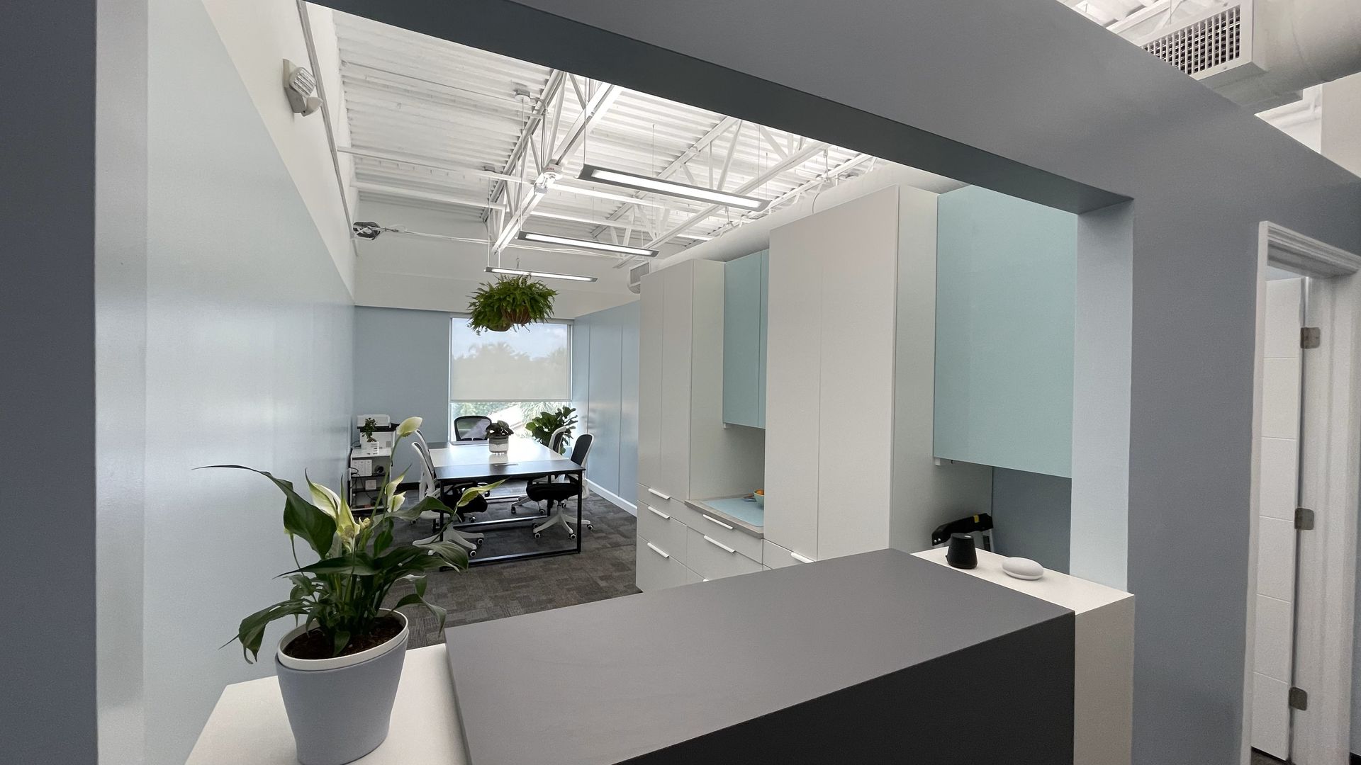Reception area with a view of an office. The space has light blue and white walls with indoor plants.