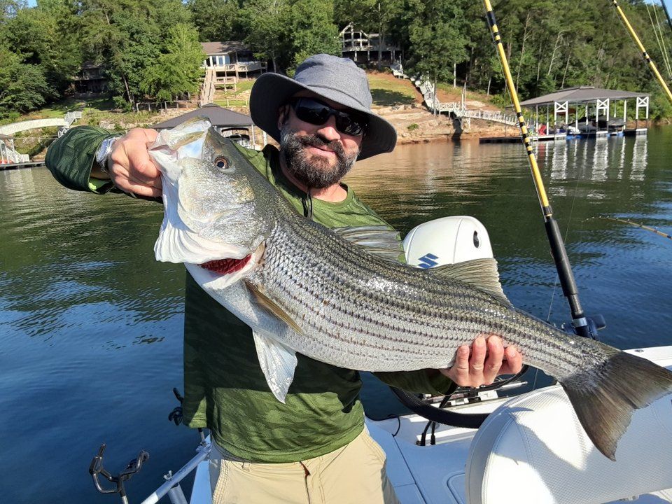 Best Striped Bass Fishing Adventure on Lewis Smith Lake in Alabama