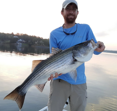 Best Striped Bass Fishing Adventure on Lewis Smith Lake in Alabama