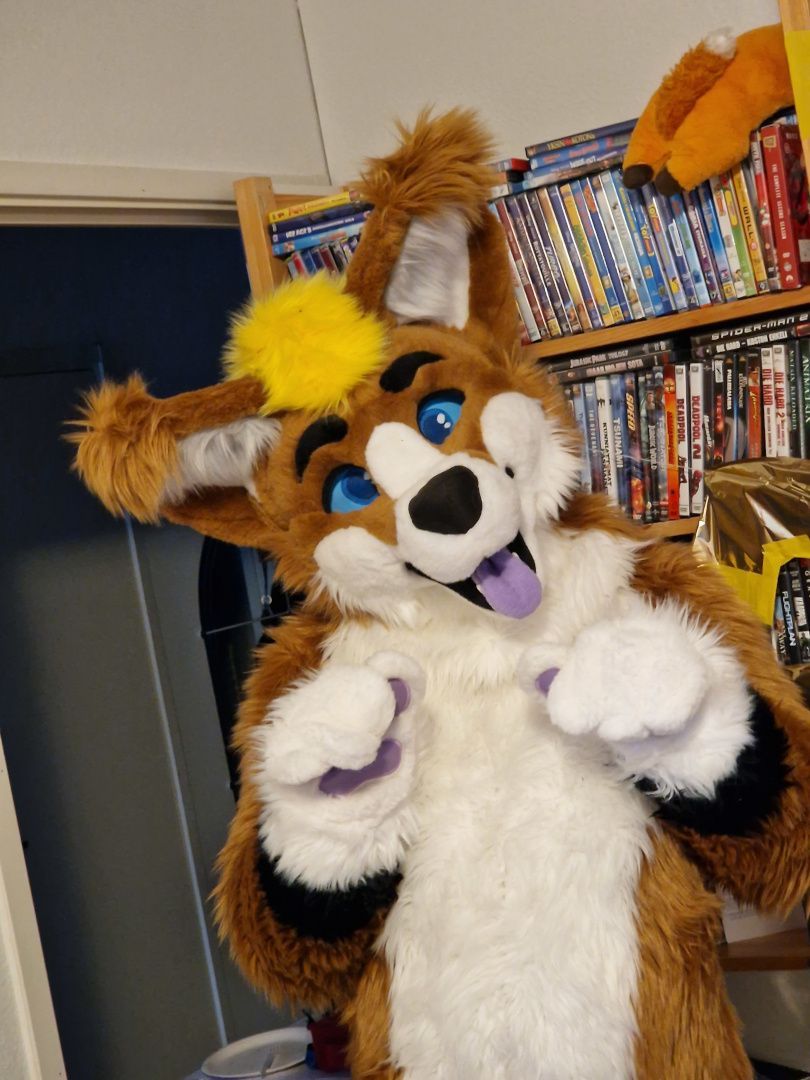 Jason the Furry profile photo.