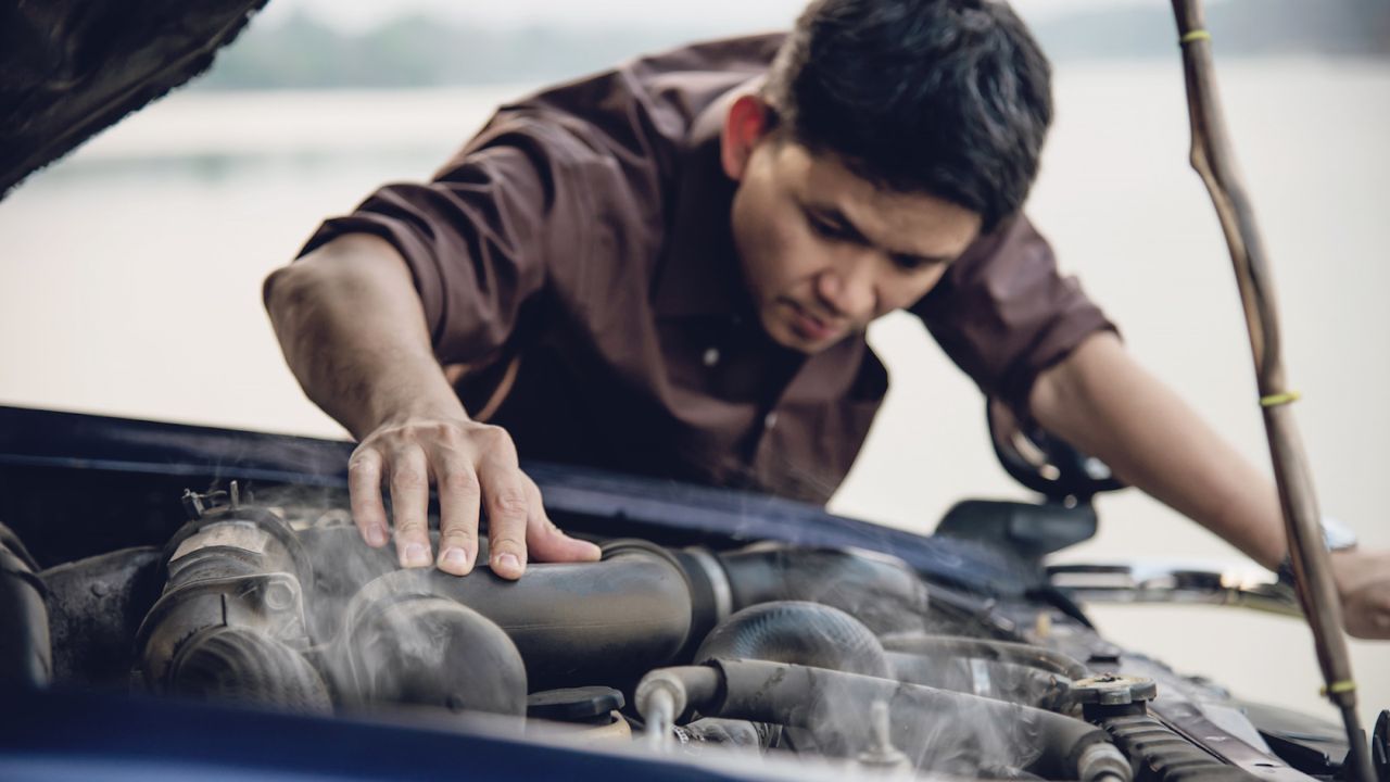 transmission flush cost